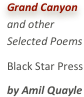 Grand Canyonand otherSelected PoemsBlack Star Pressby Amil Quayle