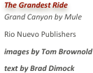 The Grandest RideGrand Canyon by MuleRio Nuevo Publishersimages by Tom Brownold
text by Brad Dimock